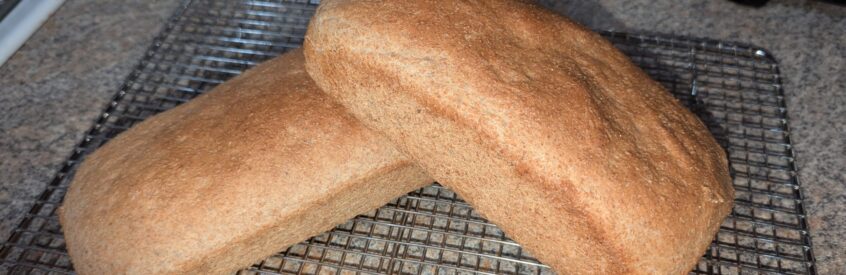 Wheat Bread